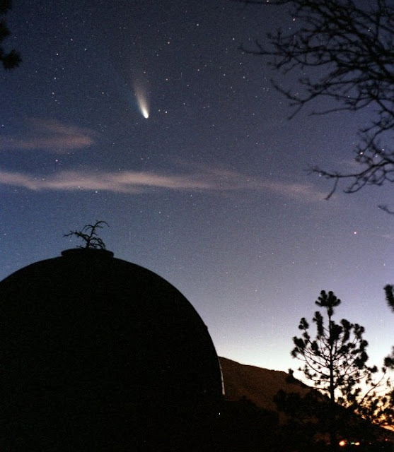The Earth passed through the tail of Halley's comet