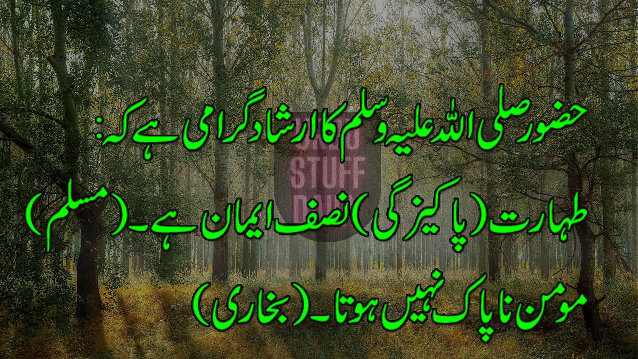 Neighbor's rights in Islam | Cleanliness and purity in Islam | Hadith |Hadees Sharif |Collection of Urdu Hadees |Urdu Stuff Daily