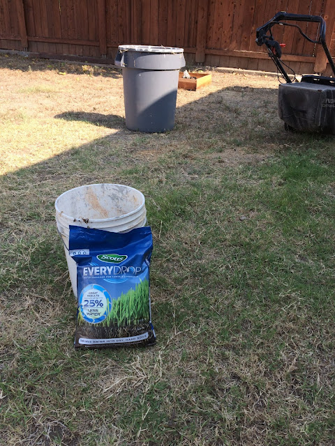 Scotts® EveryDrop™ Water Saver Lawn Care by BeckyCharms