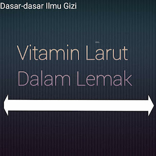 Vitamin Yang Larut Dalam Lemak