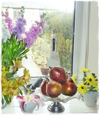 pears ripening on the windowsill 