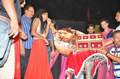 Rudramadevi warangal audio launch-thumbnail-59