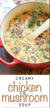 CREAMY CHICKEN AND MUSHROOM SOUP Lunch Catering