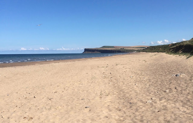 Redcar Saltburn Seaside Visit Teesside