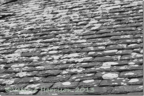 13-roof