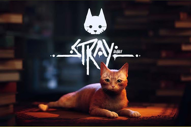 STRAY GAME CAT
