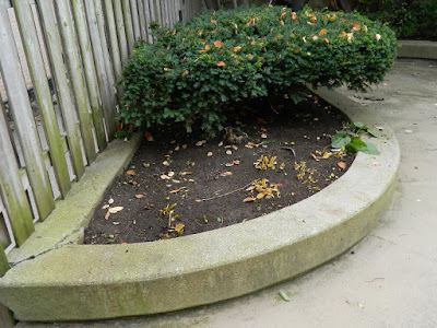 Garden District Courtyard Toronto Fall Cleanup After by Paul Jung Gardening Services--a Toronto Organic Gardening Company