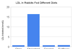 Rabbits on a High-Saturated Fat Diet Without Added Cholesterol
