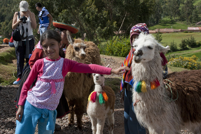 Turistas tirando foto a niña y llamas del Perú