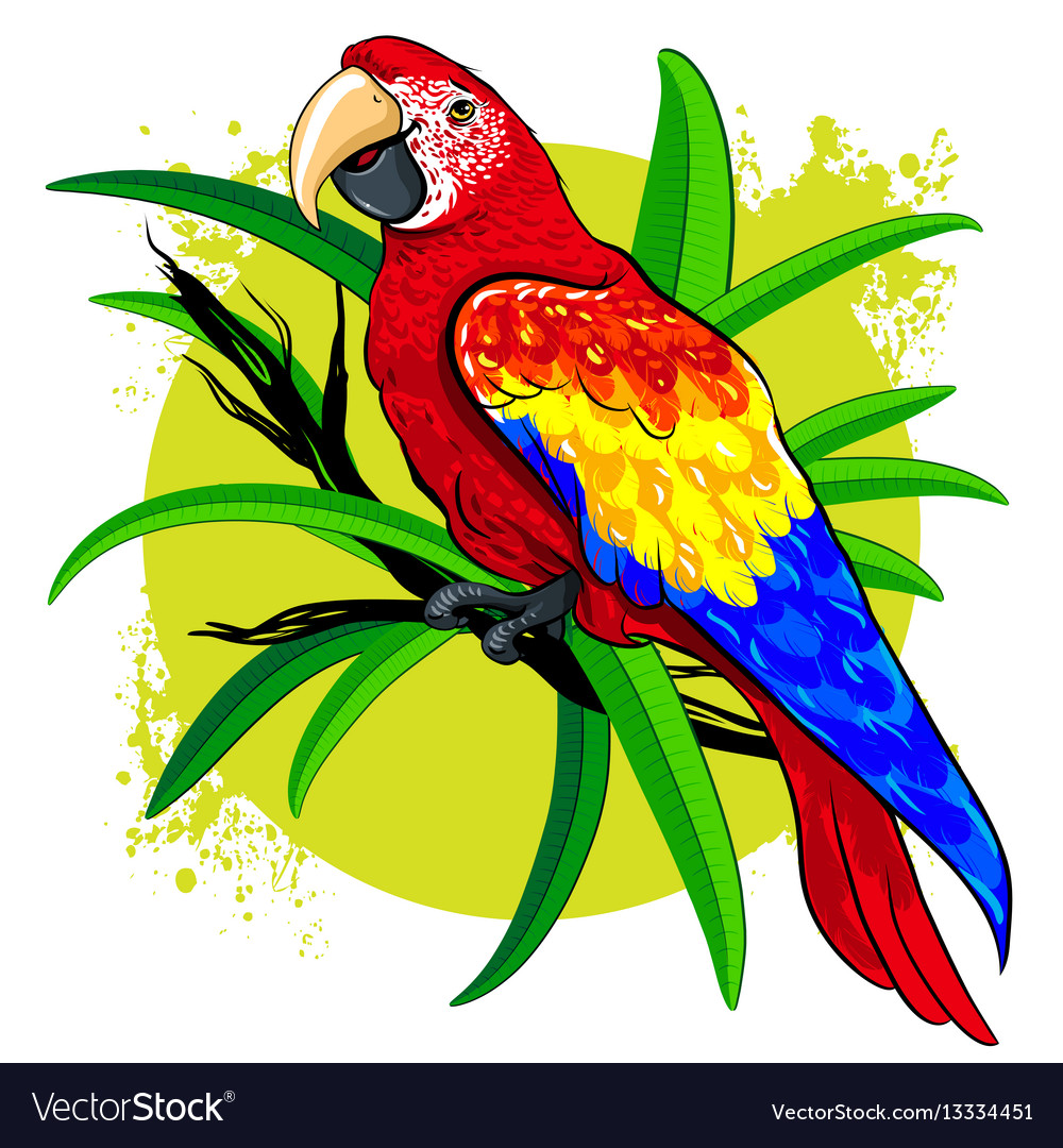 Large Bright Colored Parrot On Vector Image