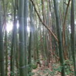 View album