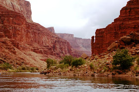 Grand Canyon Colorado River rafting by Jeanne Selep Wilderness River Adventures