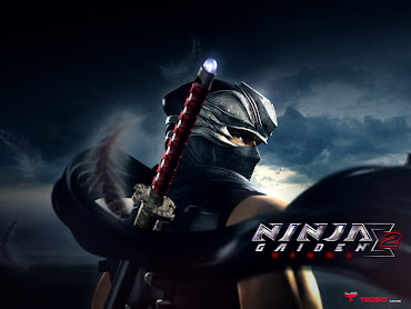#17 Ninja Gaiden Sigma Wallpaper