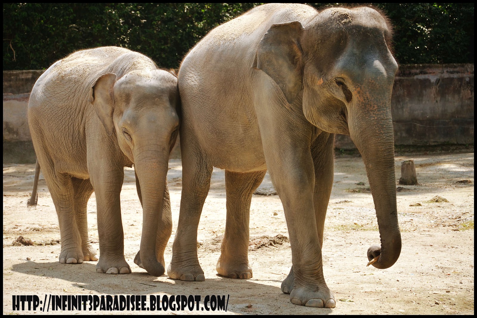 Perak Paradise: Zoo Taiping