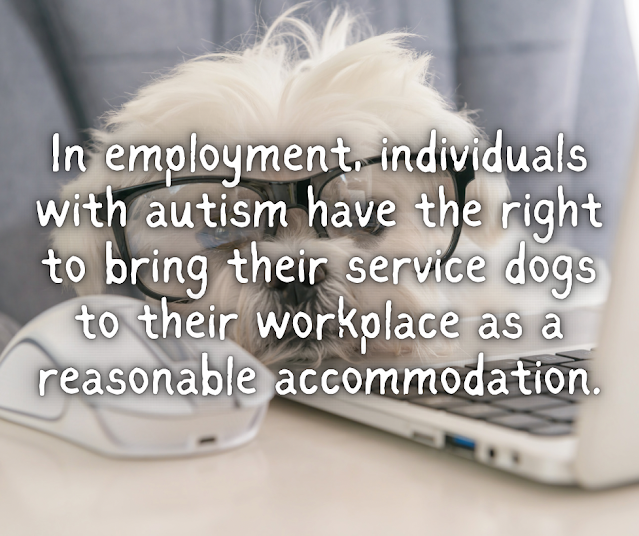 In employment, individuals with autism have the right to bring their service dogs to their workplace as a reasonable accommodation.