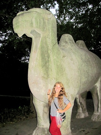 IMG_3384 IMG_3384