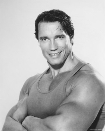 arnold schwarzenegger bodybuilding pics. arnold schwarzenegger