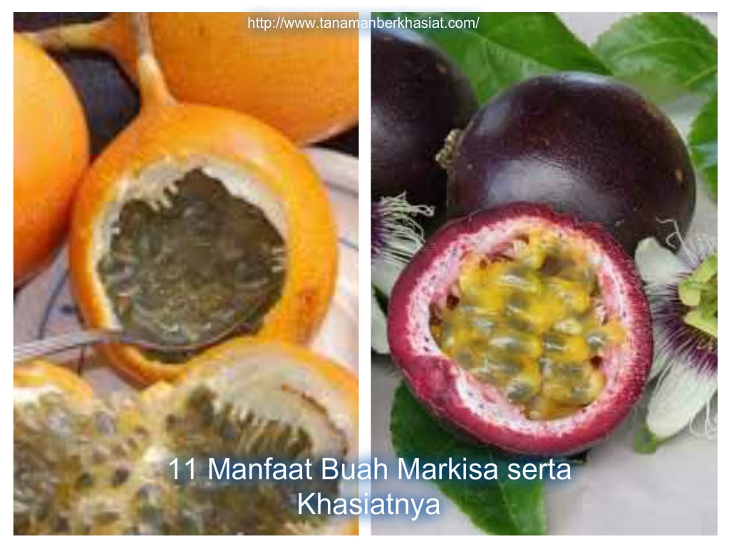 11 Manfaat Buah Markisa untuk Kesehatan