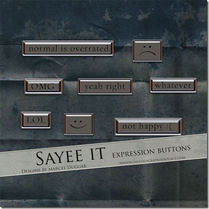 08_E_SayeeIt
