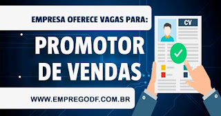 Promotor de vendas externo