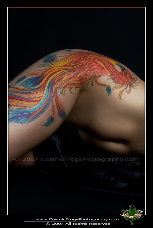 Japanese Phoenix Tattoo Picture Gallery 517x770px