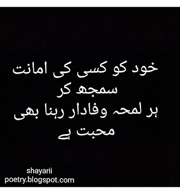 love shayari // best urdu hindi poetry collection