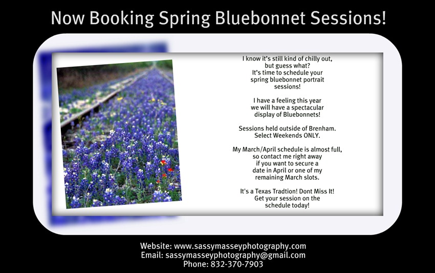 Bluebonnet