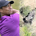 'I am so grateful' - Tiger Woods returns home from hospital after car crash