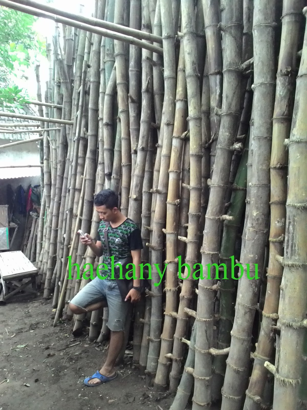 haehany jualan jual bambu  surabaya