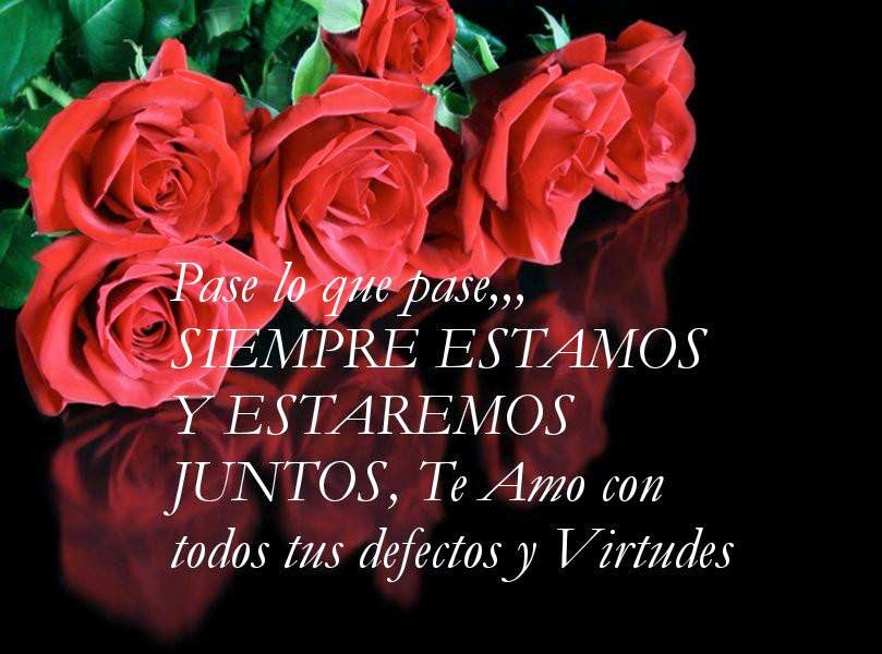 EL JARDIN DE LAS REFLEXIONES : ROSAS CON DEDICATORIA