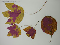 peinture sur feuilles d'arbres peinture feuilles peinture arbre peinture automne peinture enfant