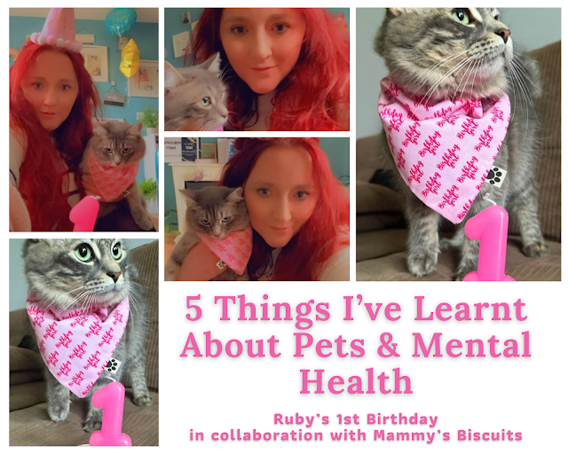 5 THINGS I’VE LEARNT ABOUT PETS & MENTAL HEALTH | WISHING THE KITTEN A VERY HAPPY 1ST BIRTHDAY!!! | IN COLLABORATION WITH MAMMY’S BISCUITS