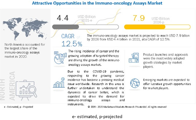 Immuno Oncology Assays Market