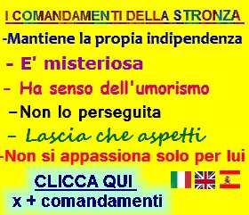 http://frasidivertenti7.blogspot.it/2014/10/i-comandamenti-della-donna-dei-sogni-la.html