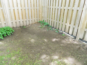 Beach Hill backyard cleanup after by Paul Jung Gardening Services Toronto