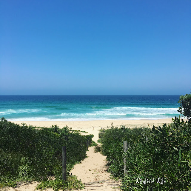 catherine hill bay beach australia