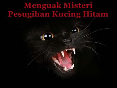 🤜 gratis 🤜  Tv Misteri Siluman Kucing Hitam