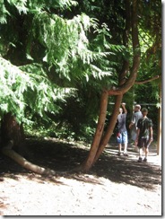 Lincoln Park 16