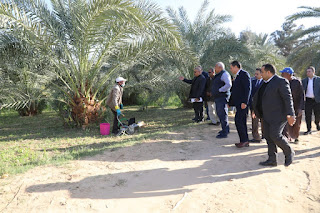 محافظ الوادي الجديد ووفد "زراعة النواب" يبحثون مطالب مزارعي المحافظة