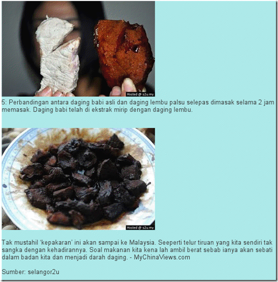 Daging lembu palsu 3