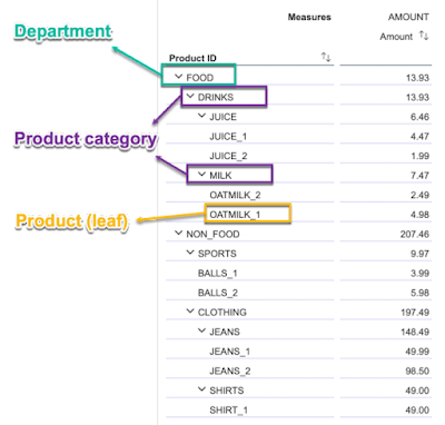 Modeling an advanced Hierarchy with Directory in SAP Datasphere