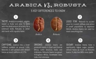 Robusta vs Arabica