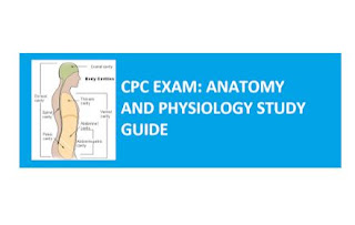 CPC EXAM: ANATOMY AND PHYSIOLOGY STUDY GUIDE 2023