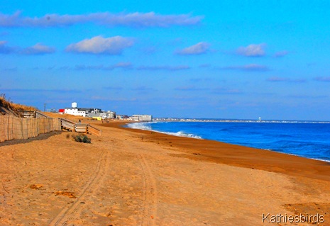 5. looking north-kab