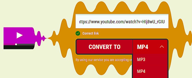 gemeenschap Hesje Verrassend genoeg How to Easily Convert YouTube Videos to MP4 Format - Web Notee