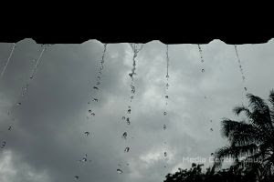 Sedia Payung! BMKG Sebut Riau Berpotensi Diguyur Hujan Lebat