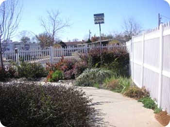 garden_3