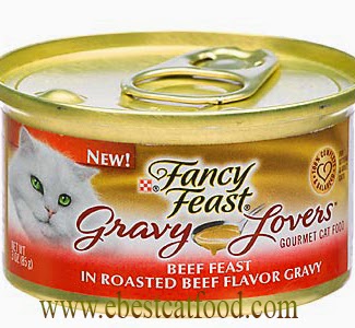 Best Cat Food 