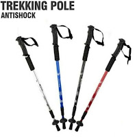 trekking pole