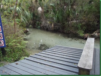 Salt Springs Monday 122